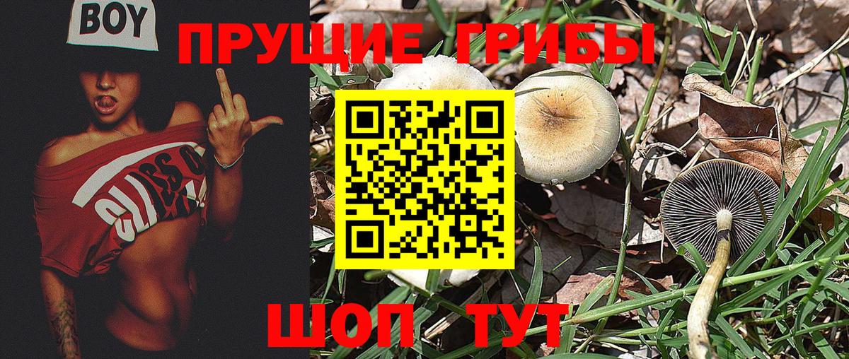 хочу   Псилоцибиновые грибы мухоморы  Вход с VPN  Карабулак 