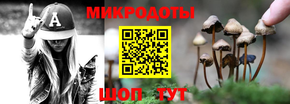 Псилоцибиновые грибы Psilocybe Карабулак